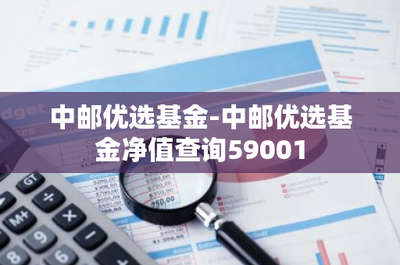 中郵優(yōu)選基金-中郵優(yōu)選基金凈值查詢59001