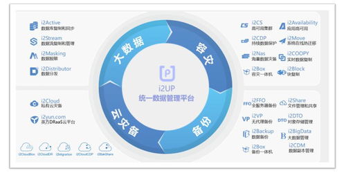 數(shù)據(jù)資產(chǎn)管理,新電子政務(wù)建設(shè)利器